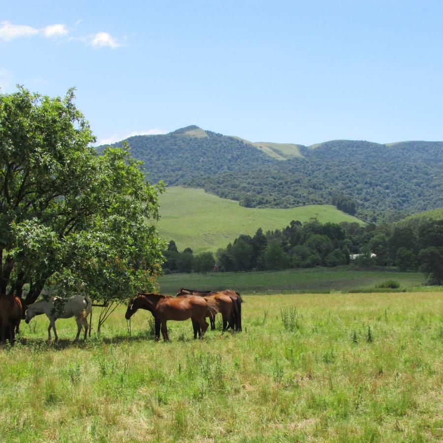 Karkloof Hideout Villa Howick Eksteriør bilde